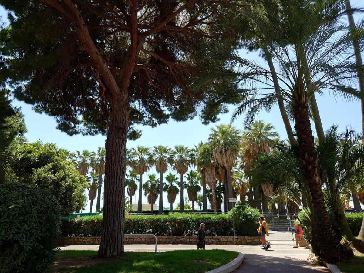 Sunrise & Sunset Palm Beach Croisette Cannes Exterior photo